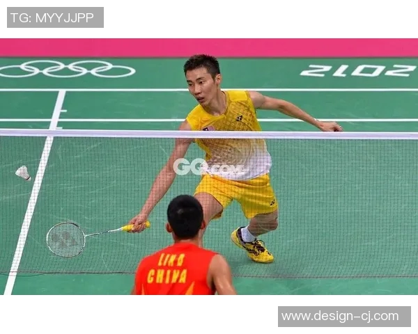 北京羽毛球队与南京羽毛球队实力对比赛后复盘分析与展望