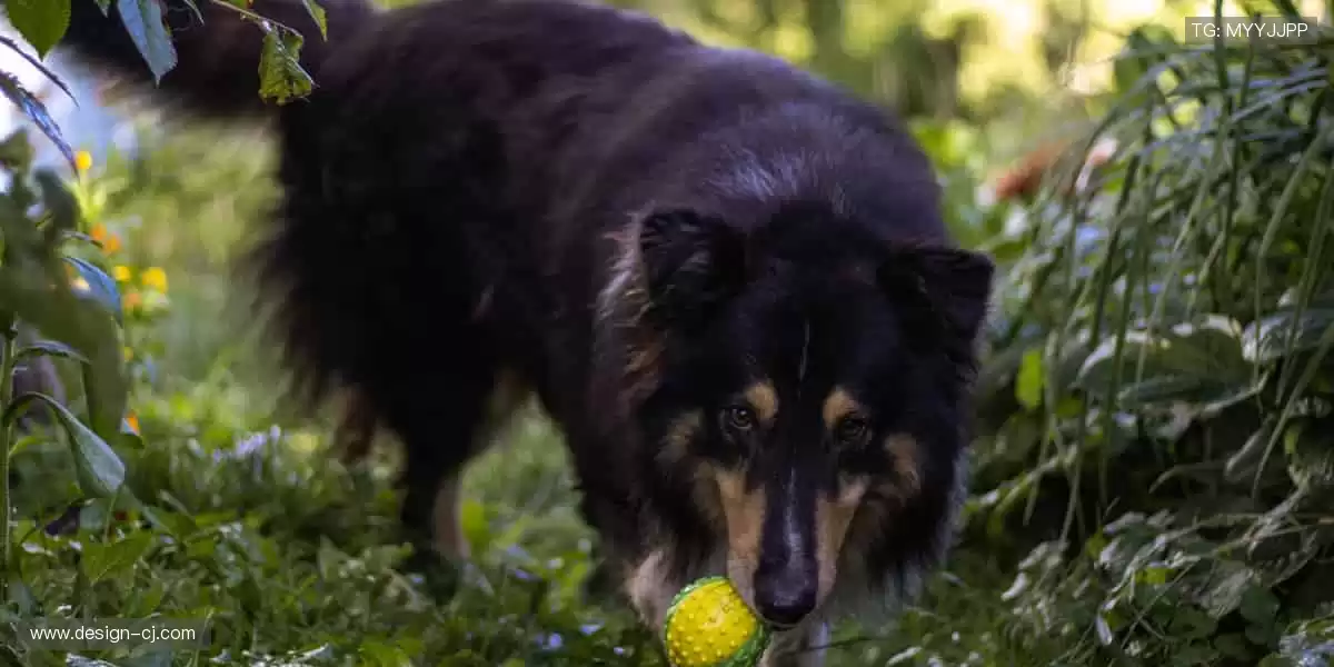 点燃热血，见证每一个传奇时刻！🏆🔥